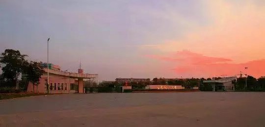 華東理工大學(xué)是211之首嗎?就業(yè)如何?最牛專業(yè)?全國排名第幾?
