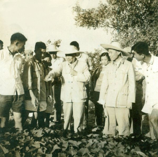 南京農業大學實力強嗎?為了211去南農值得嗎?排名第幾?學費多