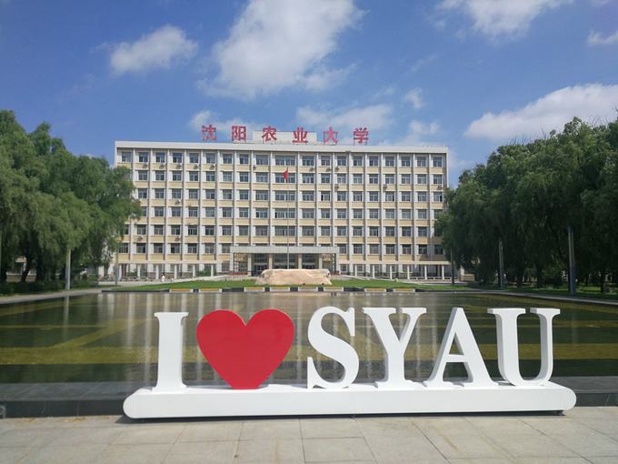 沈陽農(nóng)業(yè)大學(xué)怎么樣?是小211嗎?就業(yè)率高嗎?宿舍條件如何?