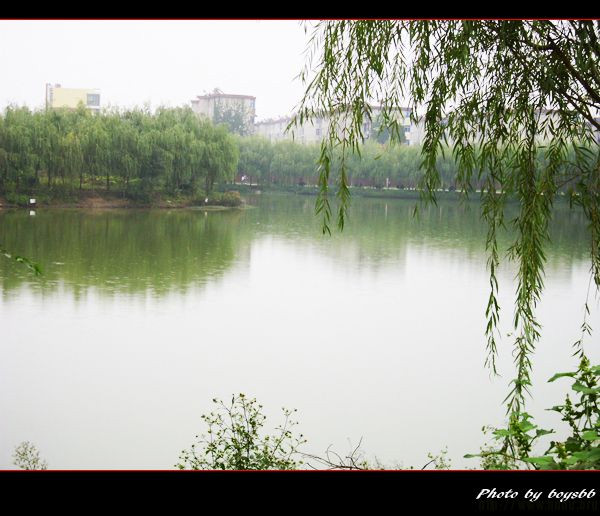 小學(xué)教師證好考嗎通過率高嗎?為什么說當(dāng)小學(xué)老師都后悔了?