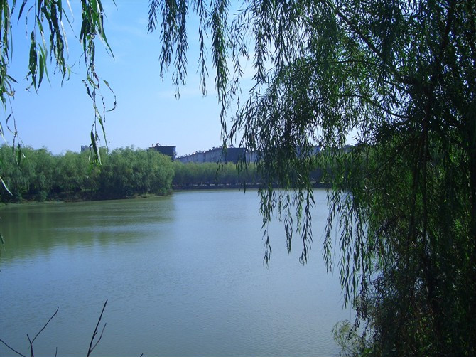 中南大學(xué)自考本科文憑有用嗎含金量如何?中南自考難嗎有哪些專業(yè)?