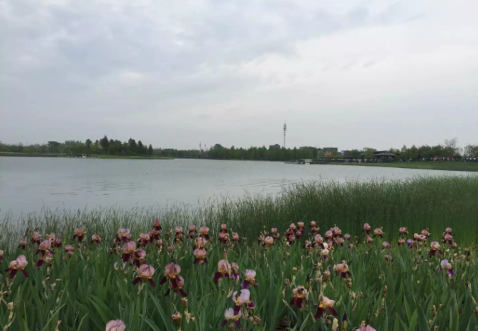 中南大學(xué)自考本科文憑有用嗎含金量如何?中南自考難嗎有哪些專業(yè)?