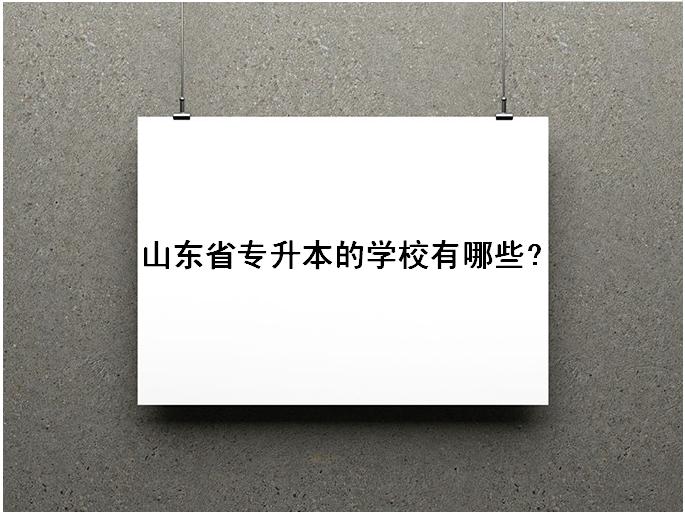 山東省專升本的學校有哪些可以選擇?山東專升本率最高學校是哪所
