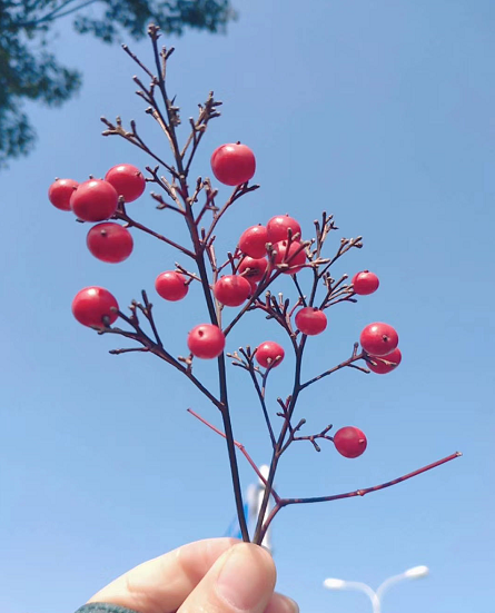 ЇǇ᣿òM˾ô