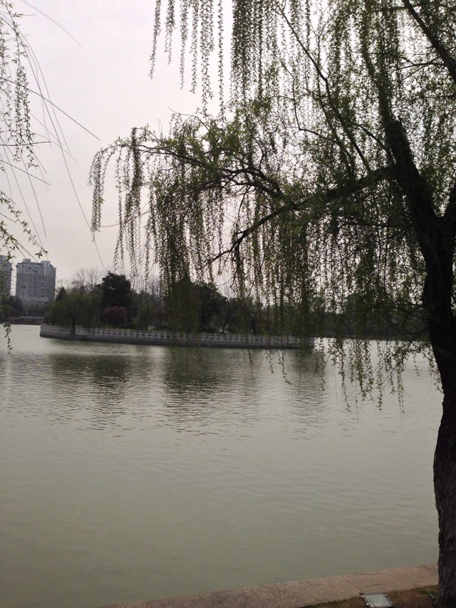 清華博士含金量高嗎就業很困難嗎?清華本科瞧不起研究生是真的嗎?
