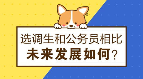 大學生選調(diào)生報考條件有哪些?選調(diào)生發(fā)展前景如何和省考哪個好?