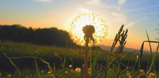 朋友圈曬風(fēng)景圖的句子你發(fā)過沒?一句簡短的風(fēng)景句子大盤點(diǎn)