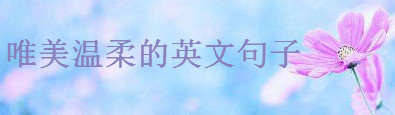 20ΨСµӢĶ̾伯\СsܜӢľ