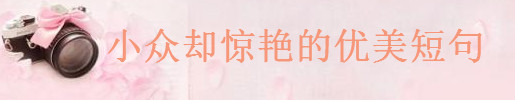 關于優美的短句摘抄,很小眾卻很驚艷的佳句大全