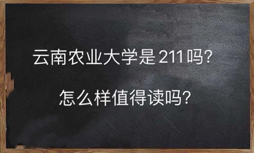 云南農業大學是211嗎怎么樣值得讀嗎?什么專業最好就業前景怎樣
