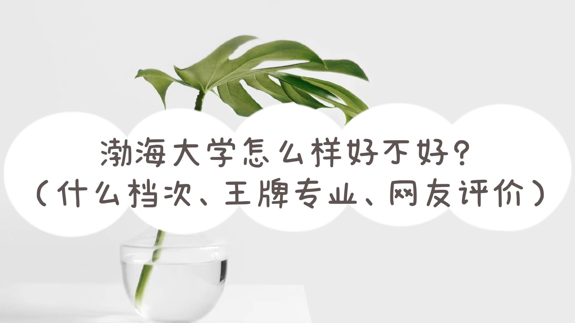 W(xu)ôӺòãʲônΡƌI(y)W(wng)u(png)r(ji)